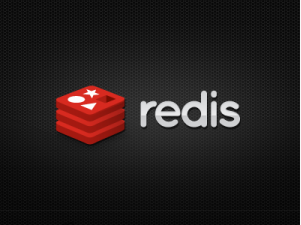 　Redis是目前NoSQL领域的当红炸子鸡，它象一把瑞士军刀，小巧、锋利、实用，特别适合解决一些使用传统关系数据库难以解决的问题。但是Redis不是银弹，有很多适合它解决的问题，但是也有很多并不适合它解决的问题。另外，Redis作为内存数据库，如果用在不适合的场合，对内存的消耗是很可观的，甚至会让系统难以承受。