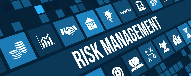 Management Risk代写